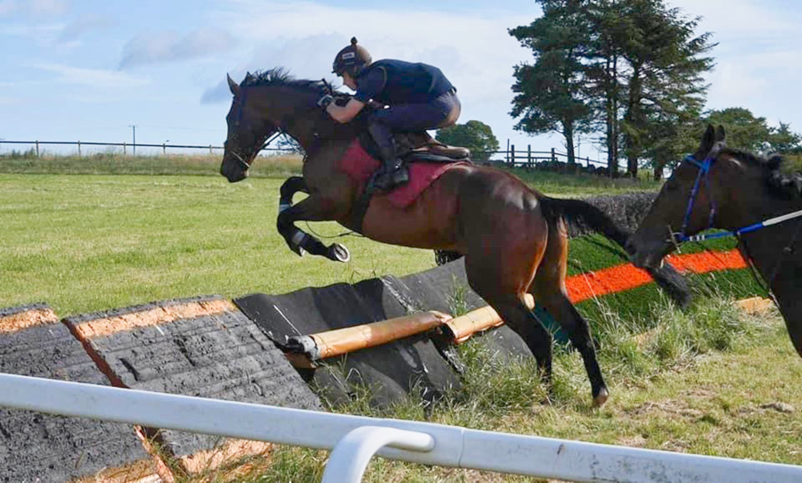 Racehorse jockey jumping over jump fence