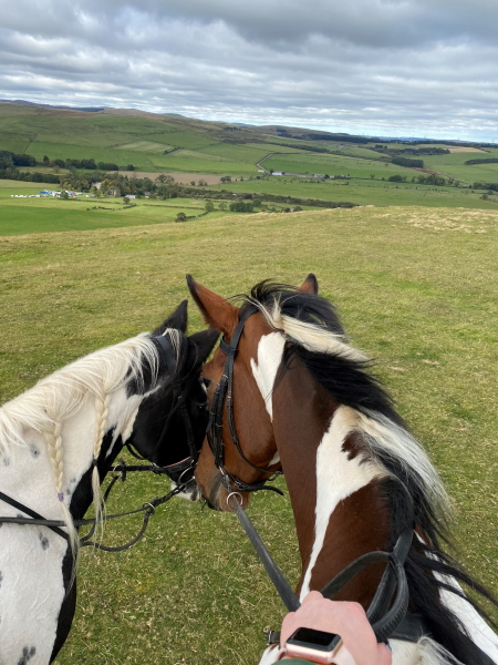 Two horse together on ride with stunning landscape in background